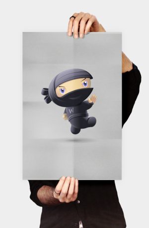 Flying Ninja